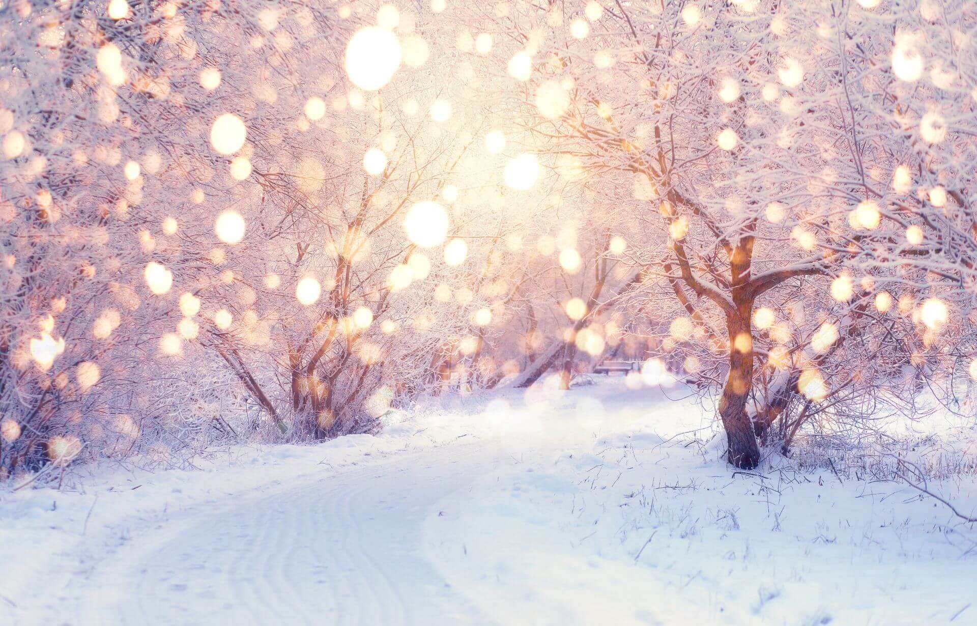 Jak przygotować się do Świąt, gdy zabrakło szczęśliwego narodzenia?